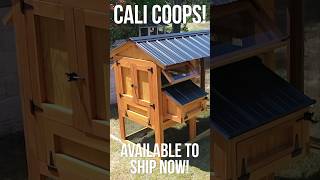 THE BEST Chicken Coops!! 🔥🐓 #chicken #chickencoop #cooplife