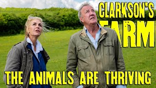 Clarkson's Farm - The New Animals are Thriving