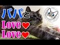 【Jean 0550】今じゃパパとラブラブですよ　あの頃の動画では・・・　元野良猫の保護里親記録 Jean, a former stray cat.