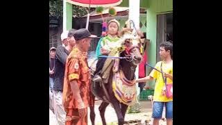 kesenian tradisional Sunda jawa barat,kuda renggong acara khitanan @Istimastuti1 #geoparkciletuh
