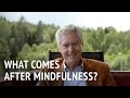 What Comes After Mindfulness? | Dr Alan Wallace