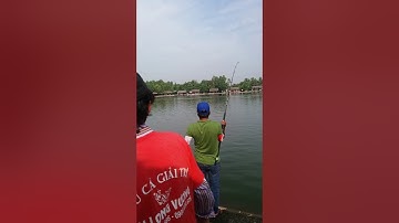 câu giải Hồ Hải long Vương