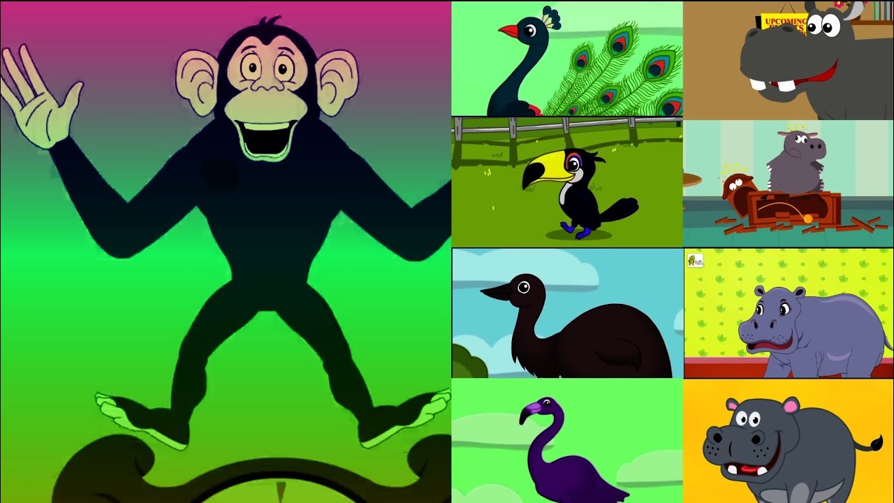 Hickory dickory dock ✨funny monkey🐒 vs. birds vs hippo ⏰Effects tutorial 🖌️