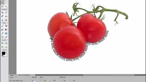 Using the Text Path Tools in Photoshop Elements