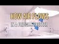 Learn How Air Flows in a Fridge and Freezer: Diagnose a Fridge Not Cooling by Understanding Air Flow