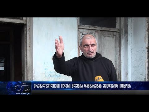 მრავალშვილიანი ოჯახი წლებია დახმარებას უშედეგოდ ითხოვს