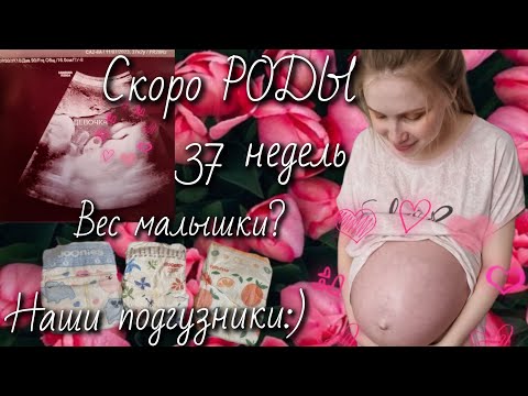 ВЛОГ: Скоро РОДЫ🤰🏼Когда госпитализация?🪻Консультация в РОДДОМЕ 29, г. Москвы.⚘️