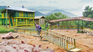 TIMELAPSE - Alone Build Bamboo Bridge Longer Than 100 Meters - Coping With Flood Waters