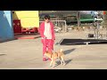 [BANGTAN BOMB] There's a Dog on the Set with BTS! - BTS (방탄소년단)