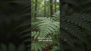 #Natur #Wertschätzung #entspannung