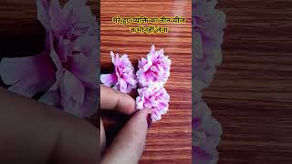 मरे हुए व्यक्ति का तीन चीज कभी नहीं लेना चाहिए#youtubeshorts #motivation #shorts #ytshorts