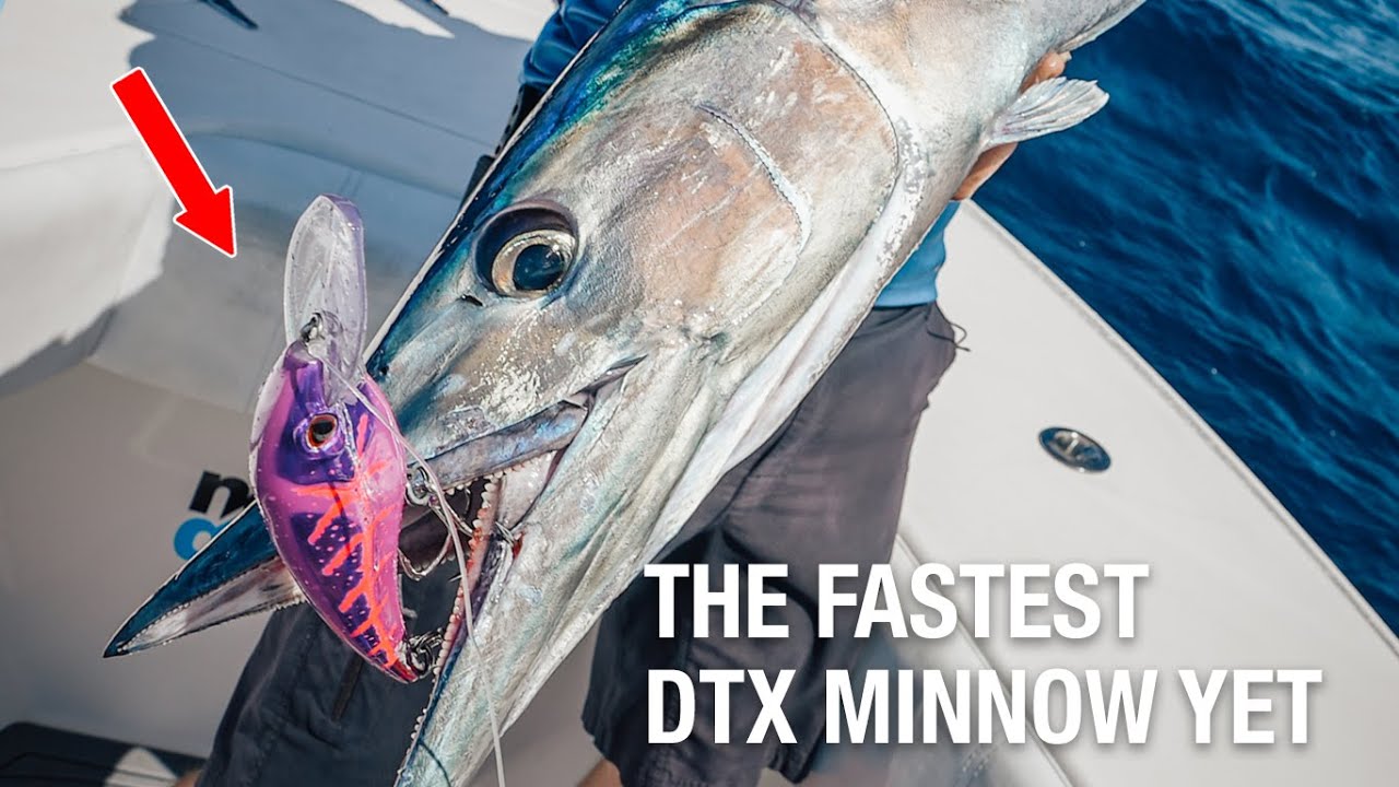 INSANE WAHOO BITES?!, The FASTEST DTX MINNOW YET - DTX180HD