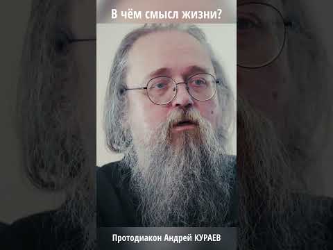 3 книги о смысле жизни — совет протодиакона Кураева | #shorts