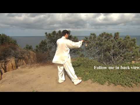 Tai Chi Qigong Hiking Staff for Beginners - C2 Taming tiger