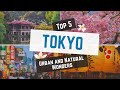 Tokyo&#39;s Top 5: Urban and Natural Wonders