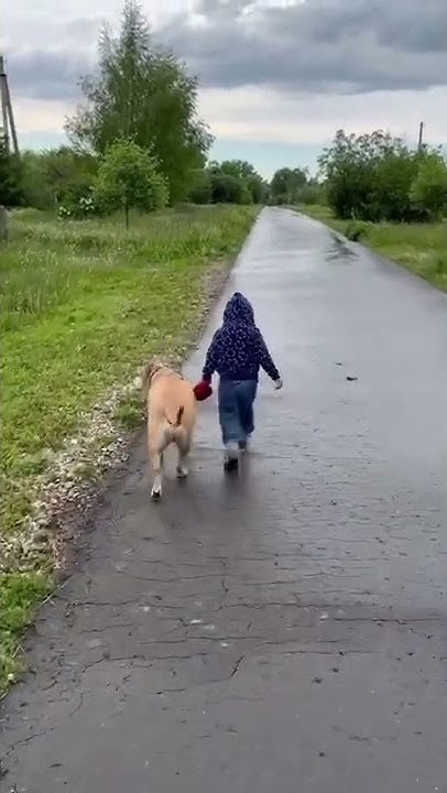 youtube.com