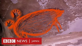 世界最古の洞窟壁画、BBCが特別に撮影　インドネシア