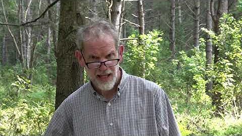 2020 Tree Farm of the Year Tour - Part 4