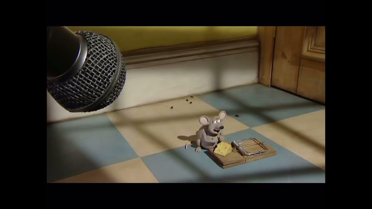 You’ll understand when you listen to Tomcat Disposables YouTube