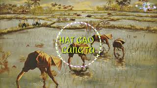 Hạt Gạo Làng Ta Remix // Nguyễn Thương Music