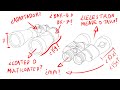 HAZTE EXPERTO EN BINOCULARES EN 10 MINUTOS | Celestron, Meade Tasco, Bushnell | GUÍA PRINCIPIANTES