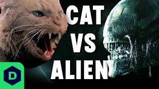 Can we survive the Alien RPG as Jonesy the cat?