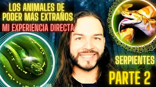 animales de poder extraños para personas únicas- parte 2