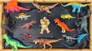 Hunting found jurassic world evolution 2: King kong, godzilla, t-rex, spinosaurus, giganotosaurus