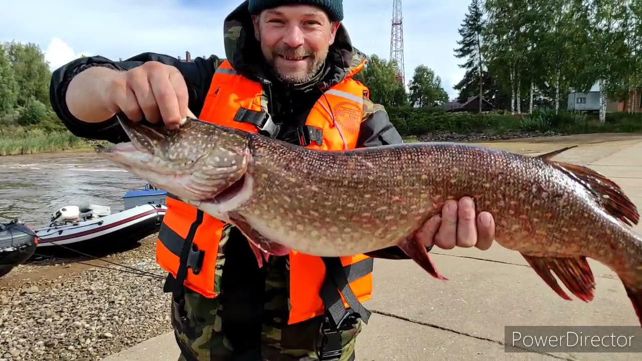 рыбалка на рыбинском водохранилище в сентябре видео
