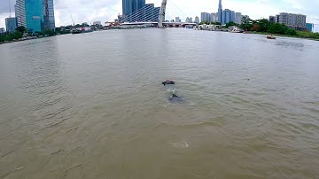 Chàng tiên cá Tiun bơi giải cứu sông Sài Gòn khỏi rác thải nhựa và tiêu trừ dịch Covid-19 Việt Nam