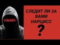 СЛЕДИТ ЛИ ЗА ВАМИ НАРЦИСС / ПОЧЕМУ БЕСПОЛЕЗНО РАССКАЗЫВАТЬ О НАРЦИССЕ ДРУЗЬЯМ #нарцисс #черныйпион