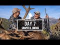 STAG CULTURE DAY 7 - DAD SHOOTS THE FIRST DEER OF THE SERIES - BAD LUCK ENDS - HORNADY 500€ GIVEAWAY