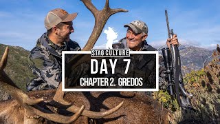 STAG CULTURE DAY 7 - DAD SHOOTS THE FIRST DEER OF THE SERIES - BAD LUCK ENDS - HORNADY 500€ GIVEAWAY