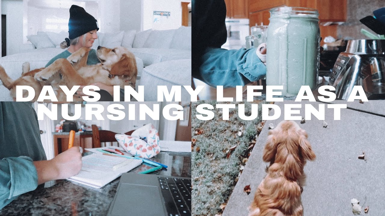 days in my life as a nursing student | nursing school vlog - YouTube