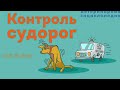 Контроль судорог. Эпилепсия