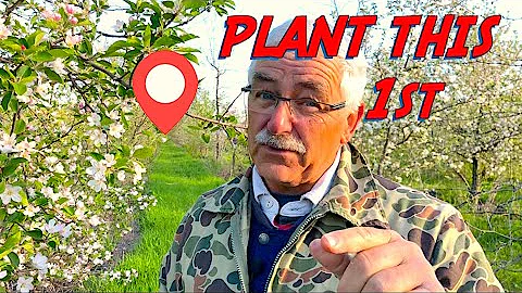 PLANT THIS Before Planting YOUR Fruit Trees - DayDayNews