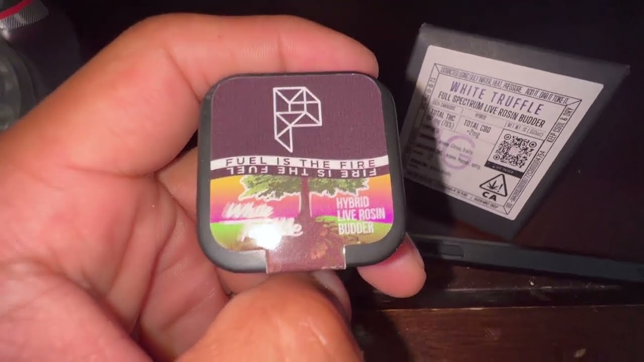 Paradox: White Truffle [Full Spectrum Live Rosin Budder]