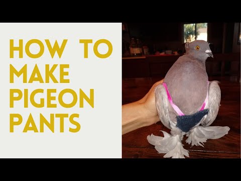 How to Make Pigeon Pants/Pigeon Diaper