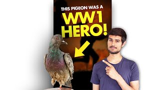 The Pigeon that Saved American Army in WW1!