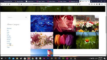 Album Gallery WordPress Photo Gallery Plugin - Features