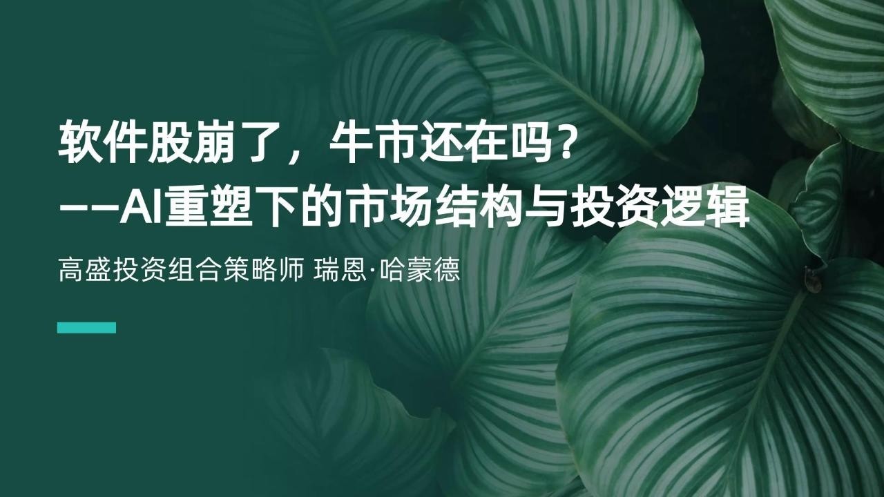 AI时代最大估值重置来了，软件股溢价从100%跌到20%意味着什么？| 高盛警告：软件股正在经历教科书级别的崩塌 | 估值腰斩背后：投资者到底在恐慌什么？不是大盘跌了——是AI正在杀死这些公司的未来