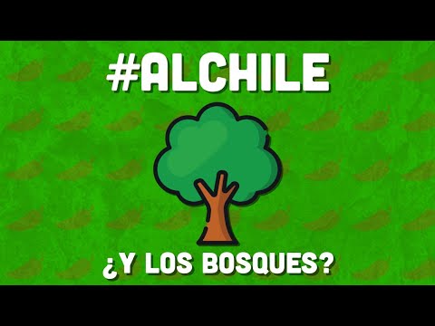 #AlChile con los bosques chilangos, ¿a dónde se fueron?