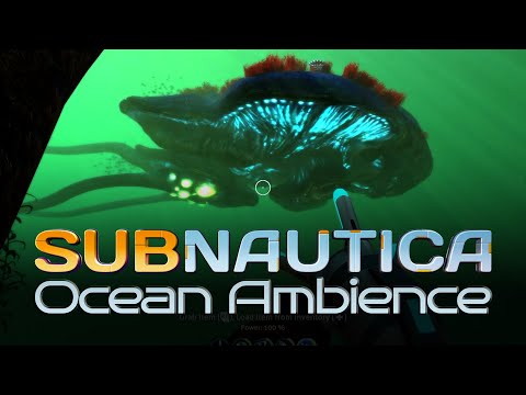 26 Minutes of Subnautica Underwater Ambience | Ocean Sounds for Sleep & Focus | Peaceful Gaming ASMR
