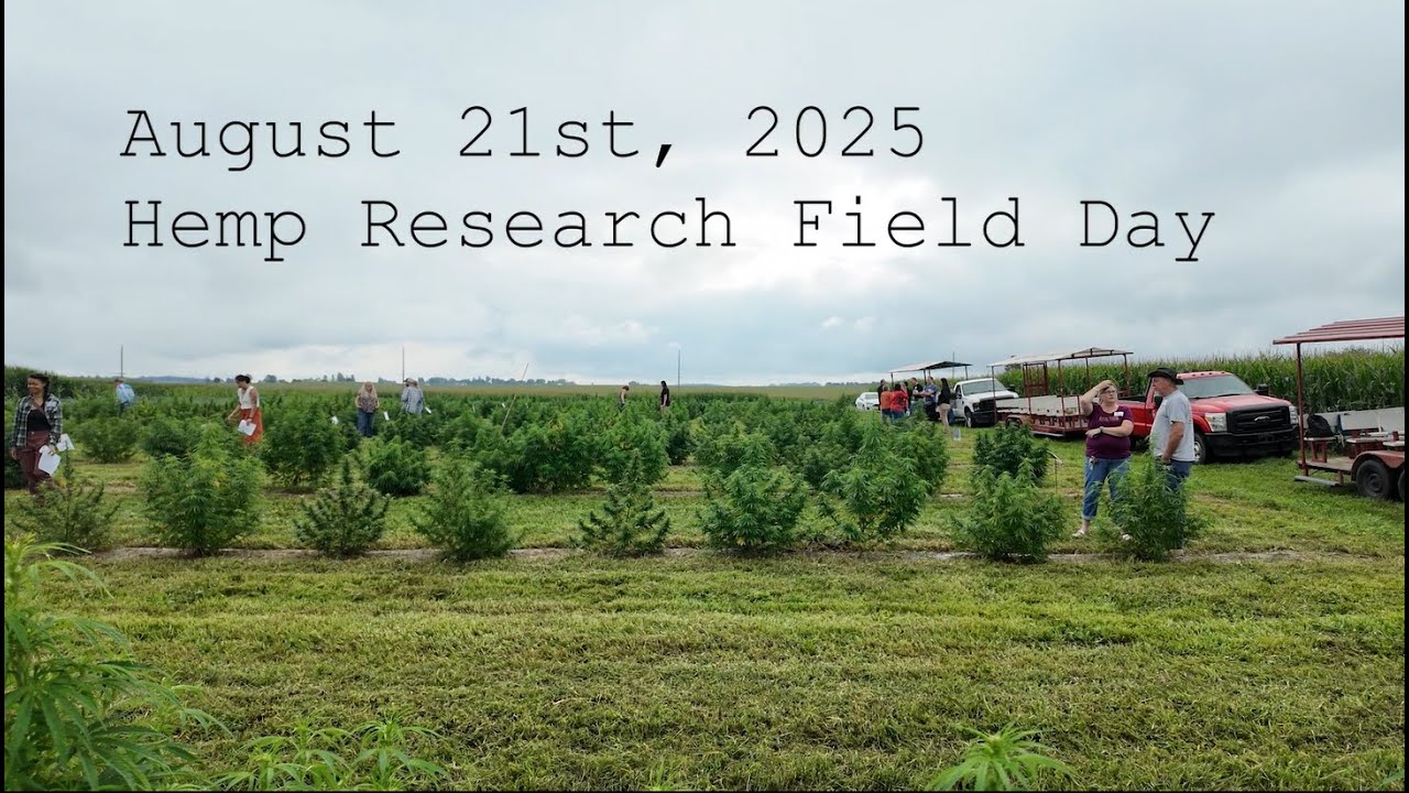 Hemp Research Field Day 2025 - YouTube