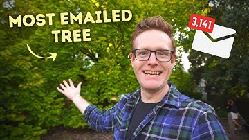 The 72,000 Trees You Can Email (And How They Respond)
