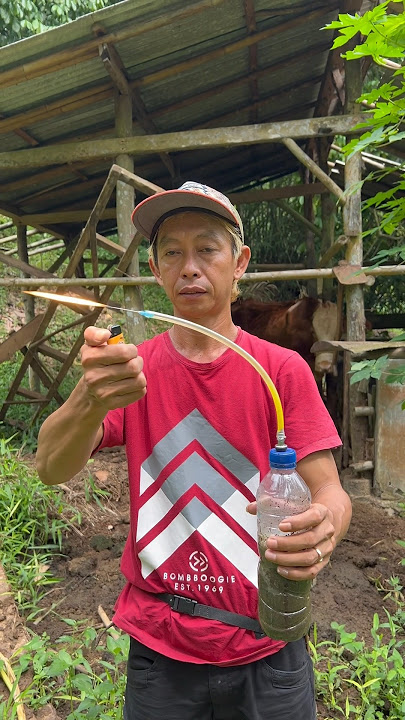 MEMBUAT BIO GAS DARI KOTORAN SAPI #viral #trending #biogás #komedi #art #kreatif #shorts