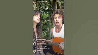 Shawn Mendes and Camila Cabello singing 