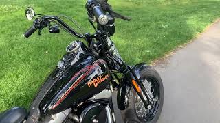 Celebrity 2008 Harley-Davidson FLST Crossbones Profile