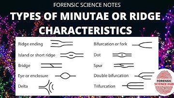 Class and Individual characteristics of fingerprints | Ridge characteristic types | Minutae types