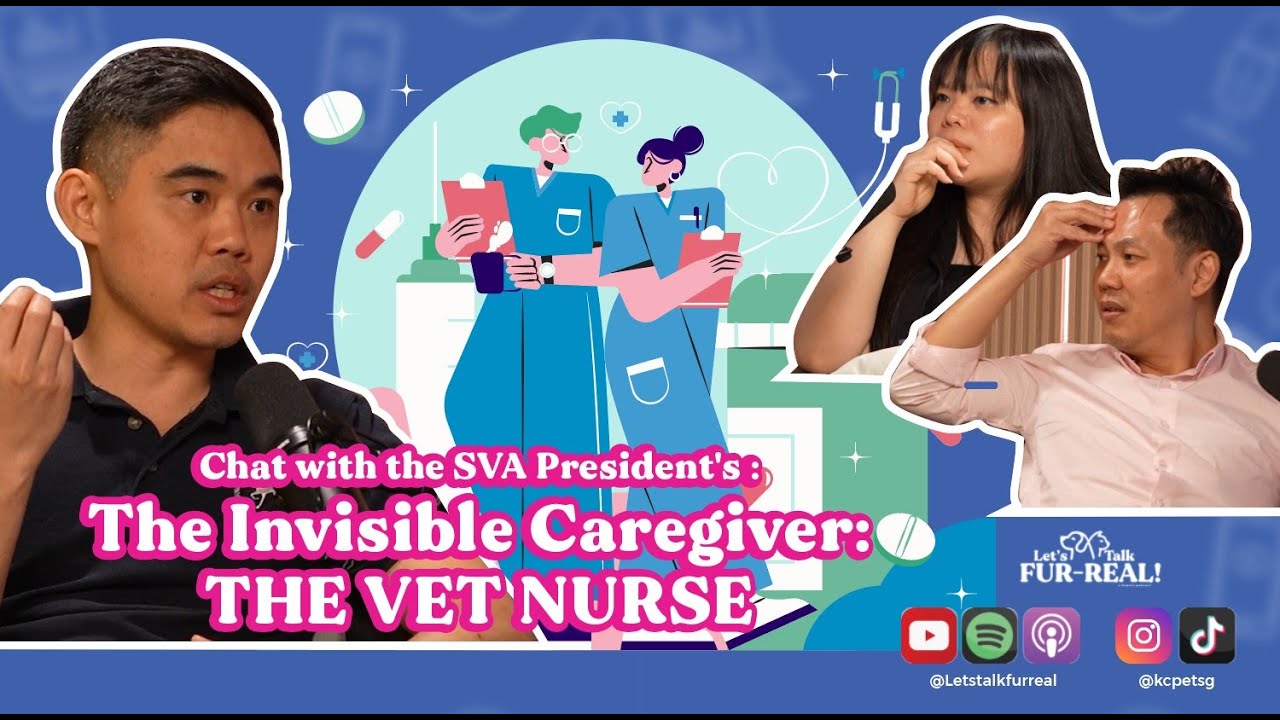 The Invisible Caregiver: THE VET NURSE Feat Dr Boon Han Teo